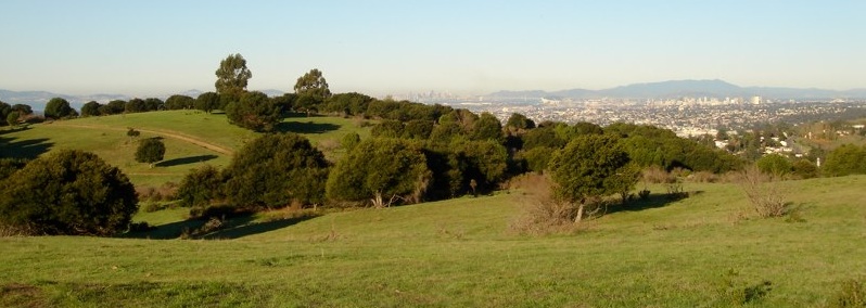 ./RotatingImages/AboutKnowlandPanorama.jpg