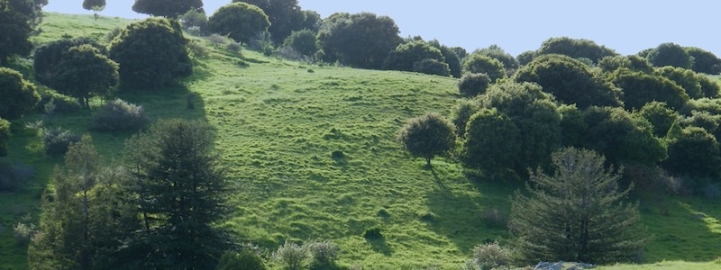 ./RotatingImages/HillsidePanorama.jpg